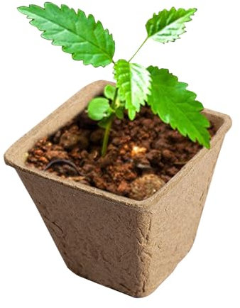 Wusideday Vasi vegetali compostabili, vasi di torba biologici - Pentole di muschio di torba per piante - per il giardinaggio, fioriera che germoglia da giardino, vassoio per asili per fiori e verdure