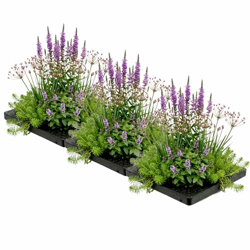 vdvelde․com - Plantes anti-moustiques 12 pièces, île flottante 75x25 cm