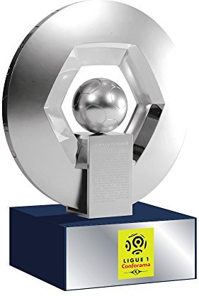Hexagoal - Trophée du Champion de France Socle en Matiere Acrylique/Ligue 1 (150mm)