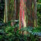 500 Seeds Regenbogen Eukalyptus Samen Eukalyptus Pflanze Samen Winterhart Eukalyptus Baum Eukalyptusbaum Pflanzensamen Winterharte Pflanzen Für Garten Geschenk