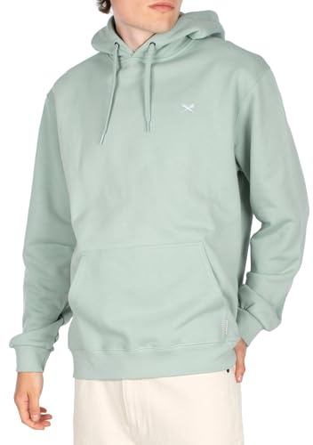 IRIEDAILY Herren Hoodie MINI Flag 2 Bio-Baumwolle Regular Fit Mint Haze