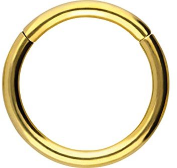 PIERCINGLINE Segmentring Clicker Chirurgenstahl Piercing Ring Nase Ohr Helix Septum Goldfarben 1,6 x 10 mm
