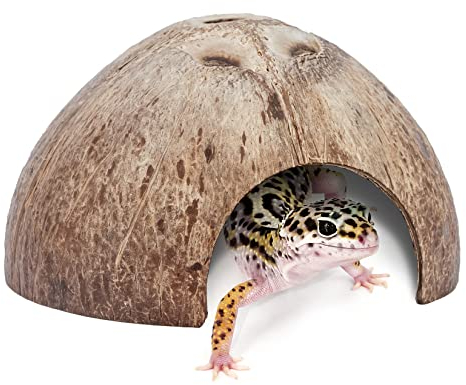 Niteangel 2er Pack Natürliche Kokosnuss Verstecke für Reptilien, Eidechsen, Spinnen und Aquarium Fisch Versteckhöhlen (Smooth Surface)