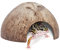Niteangel 2er Pack Natürliche Kokosnuss Verstecke für Reptilien, Eidechsen, Spinnen und Aquarium Fisch Versteckhöhlen (Smooth Surface)