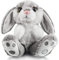 My OLi 8 Osterhase Plüsch Kaninchen Schlappohr Sitzende Hase Stofftier Grau Ostergeschenke für Babys Kinder Jungen Mädchen