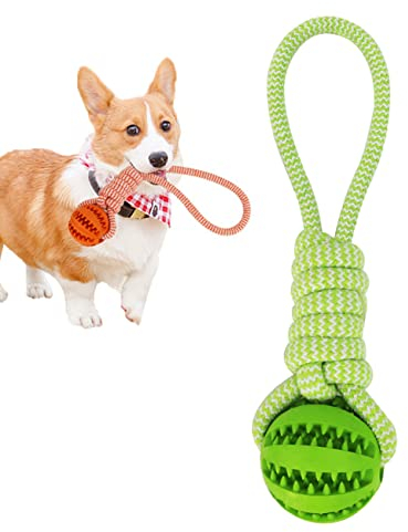 Tianyis Hundespielzeug, Wurfball für Hunde, Hundeball aus Natur-Gummi, Hunden Ball mit Schnur für Apportieren, Fangen, Werfen, Tauziehen