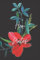 Her Notes: Beautiful Single Flower Cover Notebook for Ladies & Teens