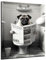 DARO Design - Bilder Deko Gäste WC Wandbild Badezimmer Bad Toilette Kunstdruck Bild auf 6mm HDF 56x84 cm Mops Wanddeko - lustige Wandbilder Leinwand Poster Aesthetic Room Decor Hund Dog