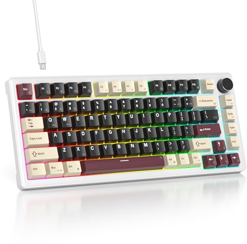 SbocKeeb Custom 75% Creamy Sounding Mechanical Gaming Keyboard with Linear Switch, RGB Wired Thocky Gaming Keyboard 75 Percent Hot Swappable Macro for Win Mac PC Laptop（Roma/White Switch）