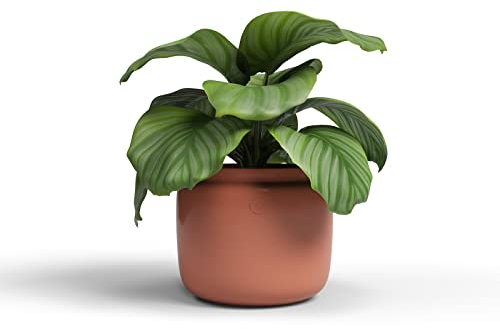 Artevasi Astrea Pot, Pot de Fleur, Pot décoratif, Céramique Fait à la Main, Couleur Terracotta, 20cm