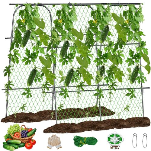 Treillis de concombre en métal de 163 x 163 cm, avec filet en nylon, tubes galvanisés, treillis de jardin en forme de U facile à assembler, support de treillis de concombre amovible, pour plantes