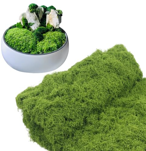 RNPKZ 100 x 100cm Kunstmoos zum Dekorieren, 400g Kunstmoos zum Basteln, Künstliches Moos Deko, Fake Dekomoos Bastelmoos für Wand Krippe Aquarium Krippe Modellbau Miniatur Garten Deko (Hellgrün)