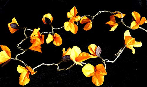 GURU SHOP Exotische Lotusblüten, Blüten LED Lichterkette Chiang Mai 20 Stk. - Lotus Orange, 6x6x350 cm
