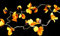 GURU SHOP Exotische Lotusblüten, Blüten LED Lichterkette Chiang Mai 20 Stk. - Lotus Orange, 6x6x350 cm