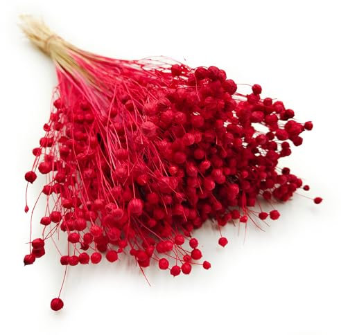 Enchanted Dekogras Getrocknetes Gras Flachs Ziergras Leinen Trockenblumen Natürlich Boho 80 Stück Rot