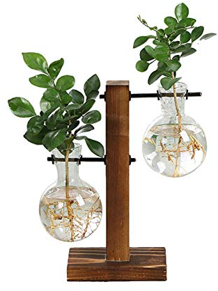 Hydroponik Hängevase Glasvase Blumenvase Tischvase Dekovase Holz Halter Desktop Glas Übertopf Vase Holz Ständer Hydrokultur Planzen