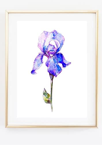 Din A4 Kunstdruck ohne Rahmen - Schwertlilie - Lilie Blume Blumen Blau Aquarell Druck Poster Bild