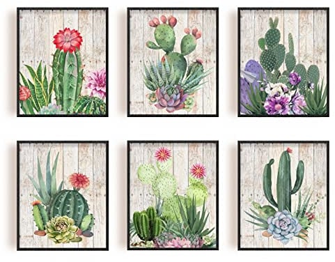 SUPERDANT 6 PCS/Set Ungerahmte Leinwanddrucke Sukkulenten Kaktus Leinwand Kunstdruck Grüne Pflanze Wandkunst Sukkulenten Kaktus Bild Druck Gemälde Wanddekorationen Klassenzimmer Schule Dekor