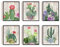 SUPERDANT 6 PCS/Set Ungerahmte Leinwanddrucke Sukkulenten Kaktus Leinwand Kunstdruck Grüne Pflanze Wandkunst Sukkulenten Kaktus Bild Druck Gemälde Wanddekorationen Klassenzimmer Schule Dekor