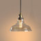 LIGKIN Lámpara Colgante Industrial Vintage E27 Lámpara de Techo Pantalla de Cristal Iluminación de Techo Lámpara Suspendida para Dormitorio Sala de Estar Restaurant