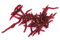 Zerone 4 cm Fischköder Kits Weiche Insekten Falsche Fischköder Wurm Lockt Meer Köder Bloodworm Lockt Künstliche Köder(100pcs)