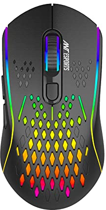 Ant Esports GM700 RGB Wireless Gaming Mouse | Wireless 2.4GHz Connection | Honeycomb Shell Design | Long Battery Life