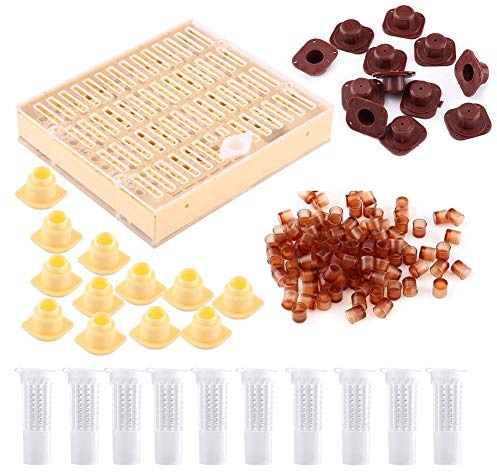 Bienenkönigin Aufzucht Kit, Kunststoff Imkerei Box, Bienenzucht Werkzeuge,Bienenzucht Set,imkereibedarf königinnenzucht, Bienenzucht-Königin-Aufzuchtbecher, Boxzelle Ausrüstung für Bienenhalter