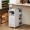 WUDLEP White Mobile File Cabinet, Office Filing Cabinets with Open Shelves and Drawers, Under Desk File Cabinet