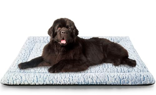 Aspand Coussin pour Chien Court en Peluche, pour Chiens de Grande Taille et Moyenne Matelas Chien, 109 x 73 cm, Facile à Nettoyer, Chaud et Confortable, Bleu