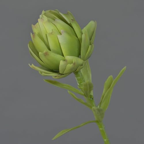 artplants.de Textil Artischocken Blüte JENBALA, grün, 35cm, Ø6cm