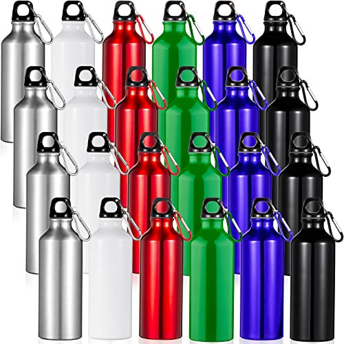24 Stück Aluminium-Wasserflasche, 482 ml, auslaufsicher, Sportflasche, leicht, Aluminium, Fahrrad-Wasserflaschen mit Schnalle und Drehverschluss, für Fitnessstudio, Camping, Laufen (helle Farbe)