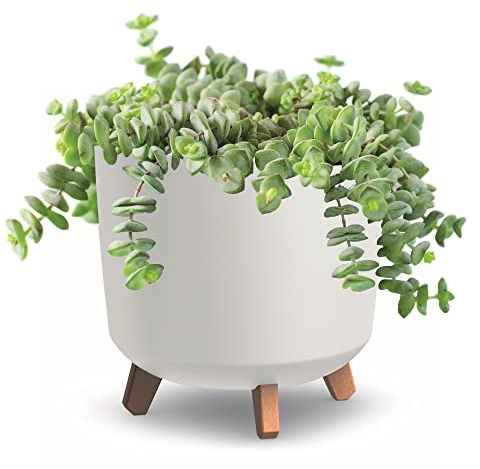 botle Blumentopf mit Füßen Weiß Matte Pflanzkübe D 30 cm Kunststoff Töpfe HOH Übertöpfe Geldbaum Kakteen Gummibaum Glücksfeder