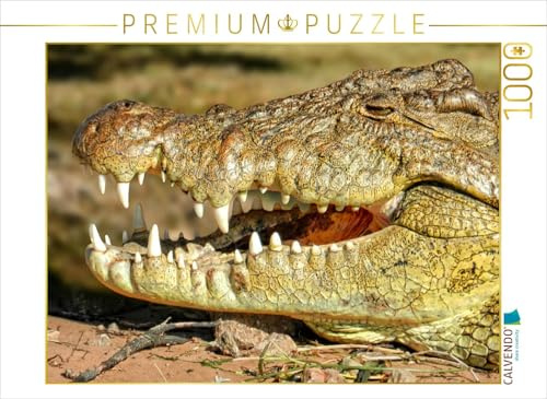 CALVENDO Puzzle Urzeitreptilien - Krokodil | 1000 Teile Lege-Größe 64 x 48 cm Foto-Puzzle für glückliche Stunden