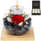 MestectPET Rosa Eterna in Vetro, Set di Rose Stabilizzate e Candele Profumate, Regalo di Compleanno per la Festa della Mamma San Valentino Anniversario Natale per Mamma Fidanzata Moglie Donna (Rosso)