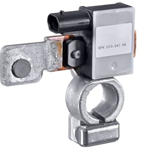 HELLA 6PK 010 547-851 Sensor, battery management - 12V - Bolted