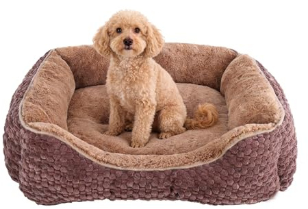 GOBOBE Plüsch-Hundebett, klein, braun, maschinenwaschbar, Hundesofa mit Kissen, 51 x 48 x 15 cm, Maiskorn-Design, rutschfeste Unterseite, Dicke PP-Baumwollpolsterung