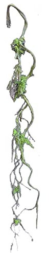 HTI living Moos Girlande Hellgrün 105 cm Kunstpflanze Flora Kunstblume Dekoration