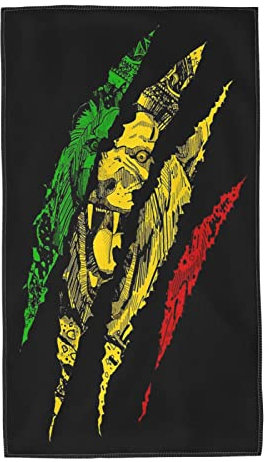 AOOEDM Lion of Judah King Rasta Reggae Jamaica Roots Weiches Handtuch Hochsaugfähiges Badetuch Superfeine Faser Strandtuch für Jungen Mädchen Männer Frauen 27,5 x 16 Zoll