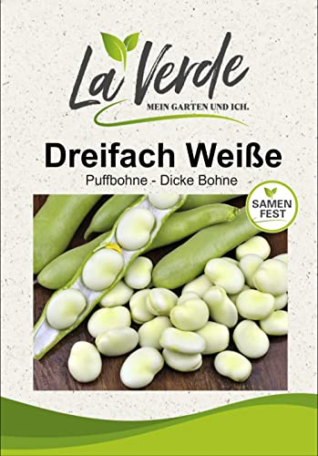 Dreifach Weiße Bohnensamen