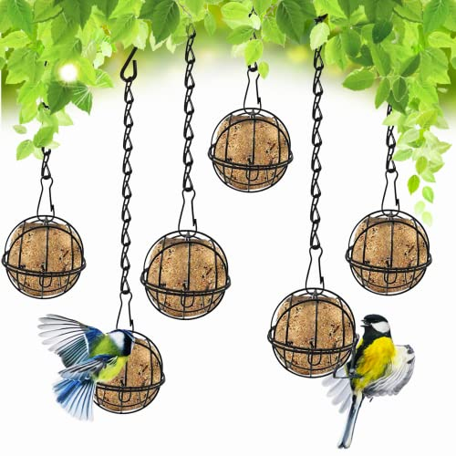 xlwen Meisenknödelhalter zum Aufhängen 6 Pcs Futterspender für Garten Wildvögel Hängend Meisenknödel Halter für Garten Wildvögel Finken Spatzen(Schwarz)