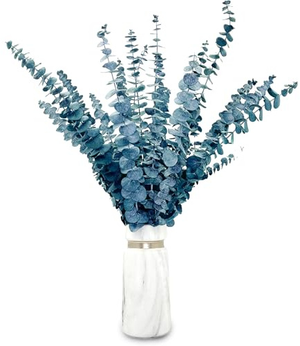 20 Stück Eukalyptus Getrocknet 43cm Natürliche Trockenblumen Konserviert Frische Eukalyptus-Zweige für Hochzeit Blumen Arrangements Heim Décor (blau)