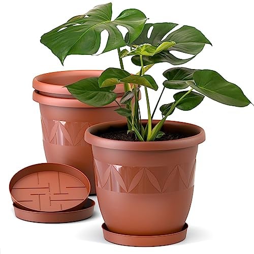 Blumentopf 3er Set 21 cm Durchmesser Terrakotta runder Pflanzkübel mit Untersetzer aus Kunststoff witterungsbeständiger Übertopf großer Pflanztopf Kräutertopf für Innen und Außen