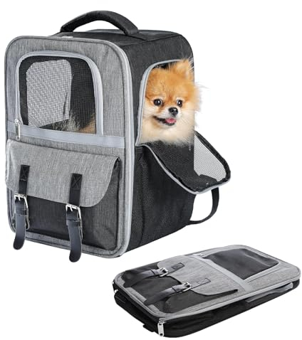 PurpurRain Haustier Rucksack Katzenrucksack Hunderucksack, Tiertransporttasche für Katzen und Kleine Hunde bis 7 kg