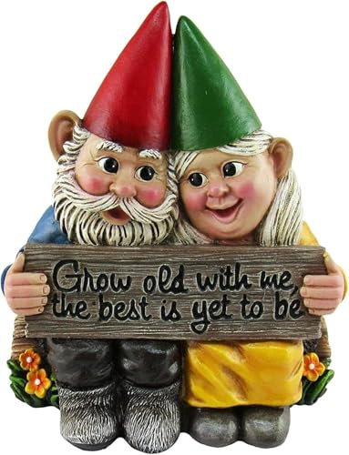 Growing Old Together – Nain de jardin couple amoureux, nain de jardin World of Wonders & Forever, Just You & I en résine, statue de jardin, nains de mariage, pour la maison ou le jardin