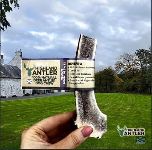 100% Natural Half Antler Dog Chew Durable Long-Lasting Premium Antler Treat for Aggressive Chewers Supports Dental Health Strong Teeth and Gums High Protein Mineral-Rich Safe Dog Chew Toy-Medium Size