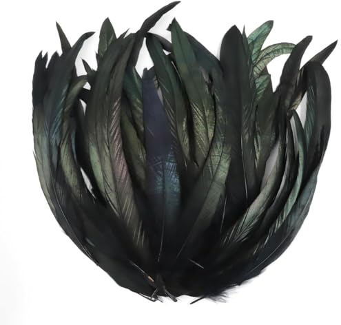 Natur Hahn Feder Hahnenfeder Fasanenfeder Federn zum Basteln Deko Federn für DIY Basteln Kostüme Kopfschmuck Ostern Halloween Weihnachten (Schwarz, 25-30cm)