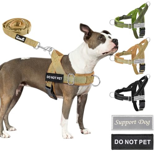 Eyein Hundegeschirr mit Leine für große mittelgroße Hunde, Weich gepolsterter Brustgeschirr mit 2 Leinenclips, Reflektierend & Leichtgewicht Anti Zug Geschirr für Spaziergänge Training, Braun, M