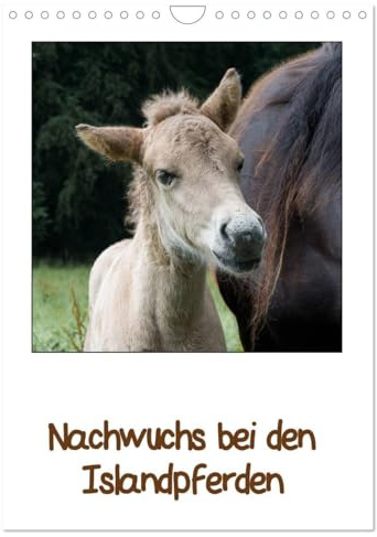 Nachwuchs bei den Islandpferden (Wandkalender 2026 DIN A4 hoch), CALVENDO Monatskalender: Liebenswerte Islandfohlen (CALVENDO Tiere)