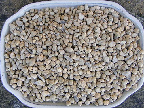 Portal Cool Bonsai Terreno Kiryu - 1 Litro