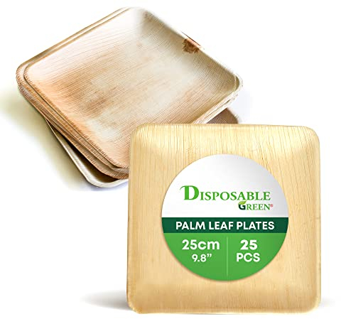 DISPOSABLE GREEN - Piatti quadrati usa e getta, piatti da portata Areca, piatti piani per feste, matrimoni, catering e altro, piatti usa e getta per cibi caldi e freddi, 25 x 25 x 2,5 cm, 25 pezzi